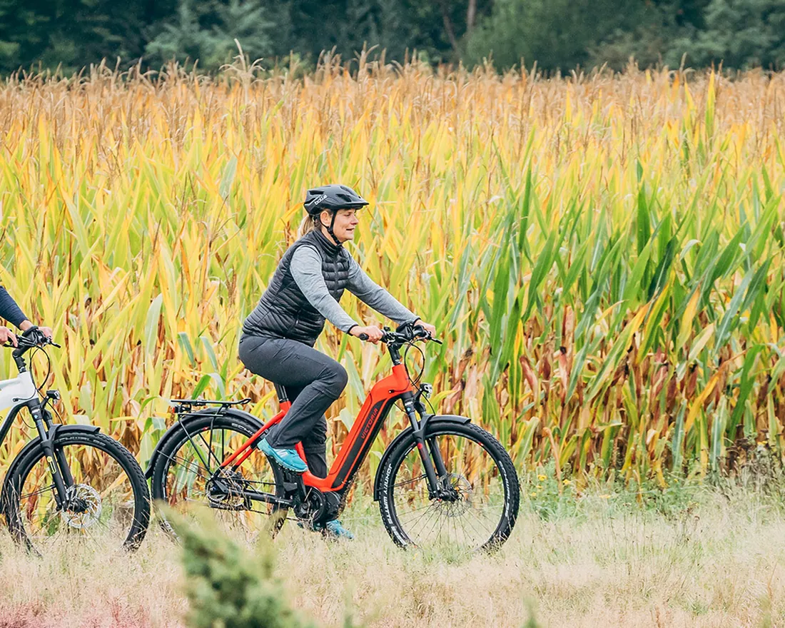 Zwei Menschen auf E-Bikes an einem Maisfeld