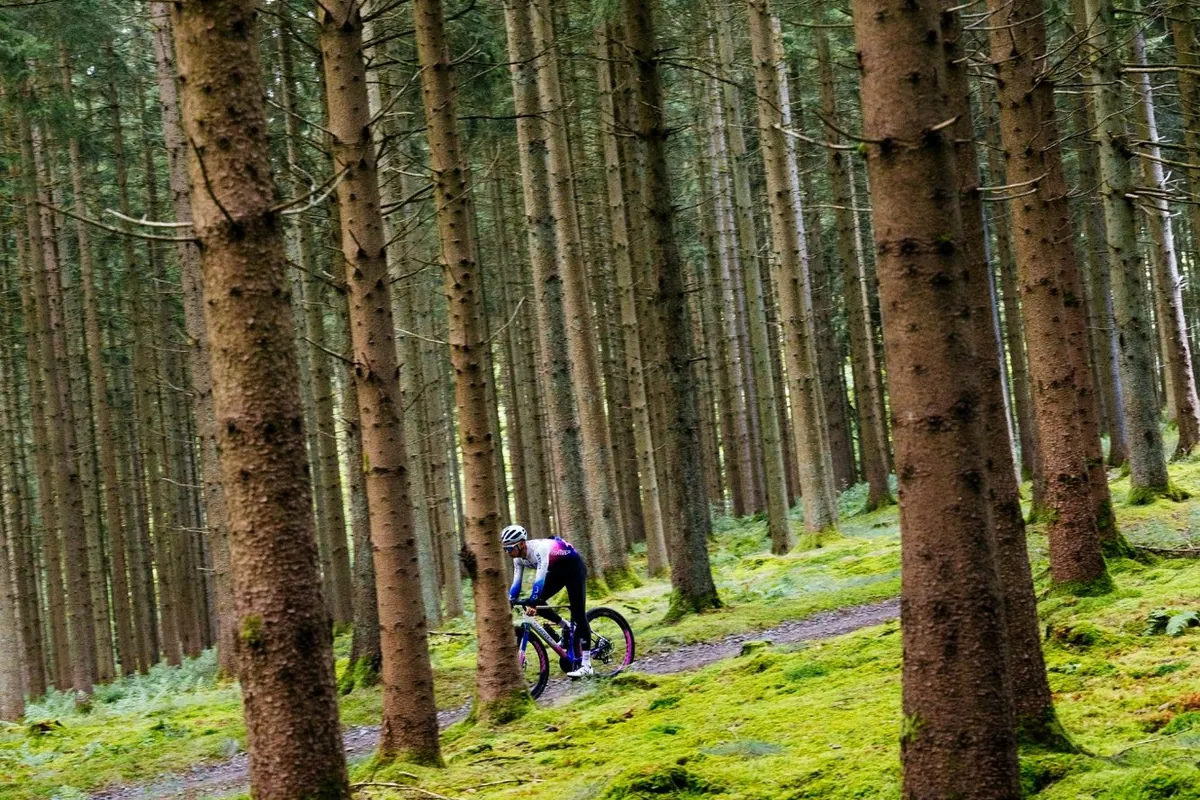 Wilier Gravelbike auf einem Waldweg als Inspiration für Gravel-Touren in der Fränkischen Schweiz