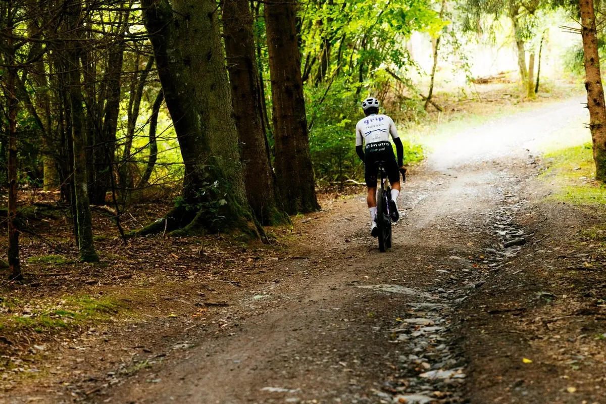 Gravelbike auf einem Schotterweg im Wald – Inspiration für Gravel-Touren rund um Forchheim